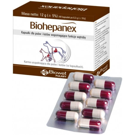 BIOWET Biohepanex - na wątrobę 40 kapsułek