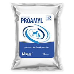 VETFOOD Proamyl for Dog Cat rekonwalescencja 100g